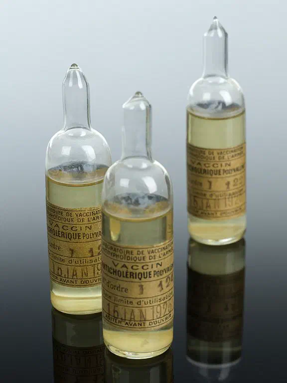 Ampoules de vaccin contre le choléra