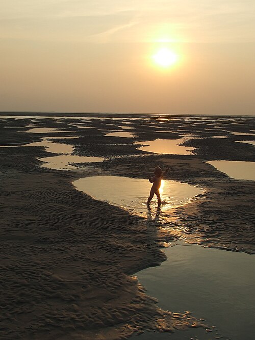 Premiers pas d&rsquo;un bébé devant un coucher de soleil
