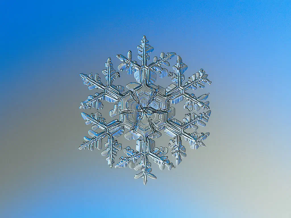 Macro Photographie d’un flocon de neige