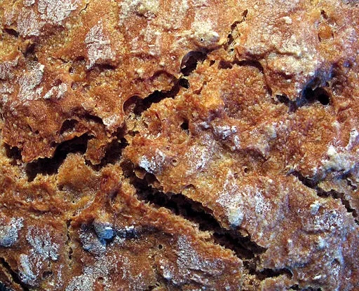 Croûte de Pain Croûte de Pain