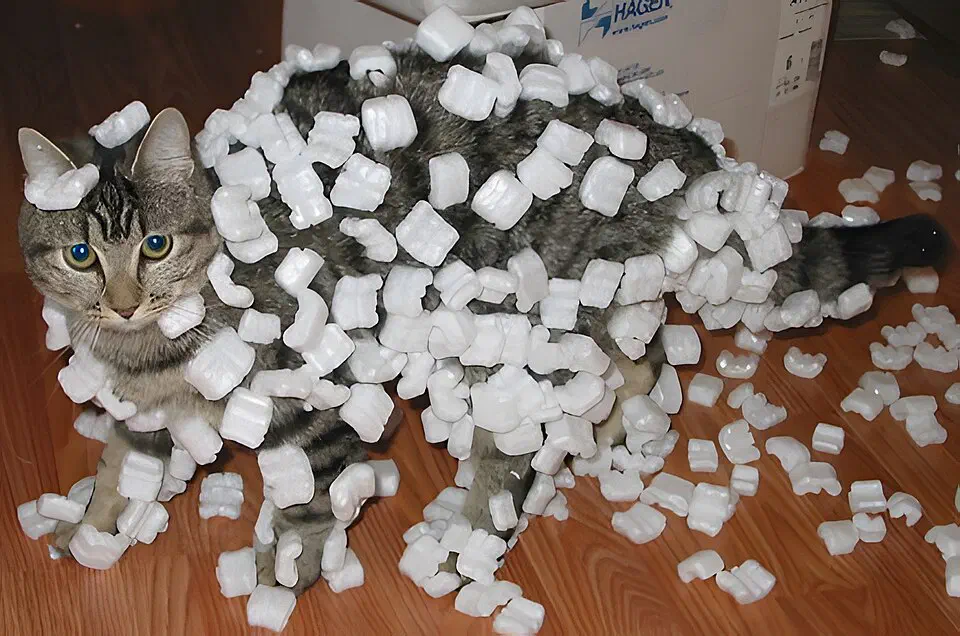 Des morceaux de polystyrène expansé adhèrent au pelage d’un chat en raison de la charge d’électricité statique qui s’accumule sur le pelage sous l’effet des mouvements de l’animal