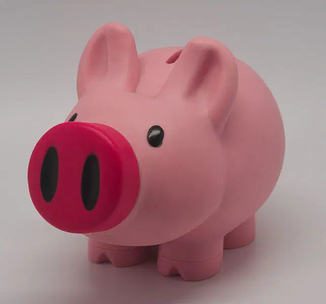 Tirelire en forme de cochon Tirelire en forme de cochon